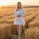 Жіноча сукня вишиванка Колоски золоті &mdash; біла, льон SW15 фото 2