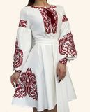 Жіноча сукня вишита &ldquo;Завитки&rdquo; &mdash; червона вишивка SW03 фото